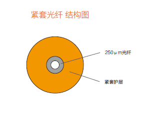 中国竞猜网